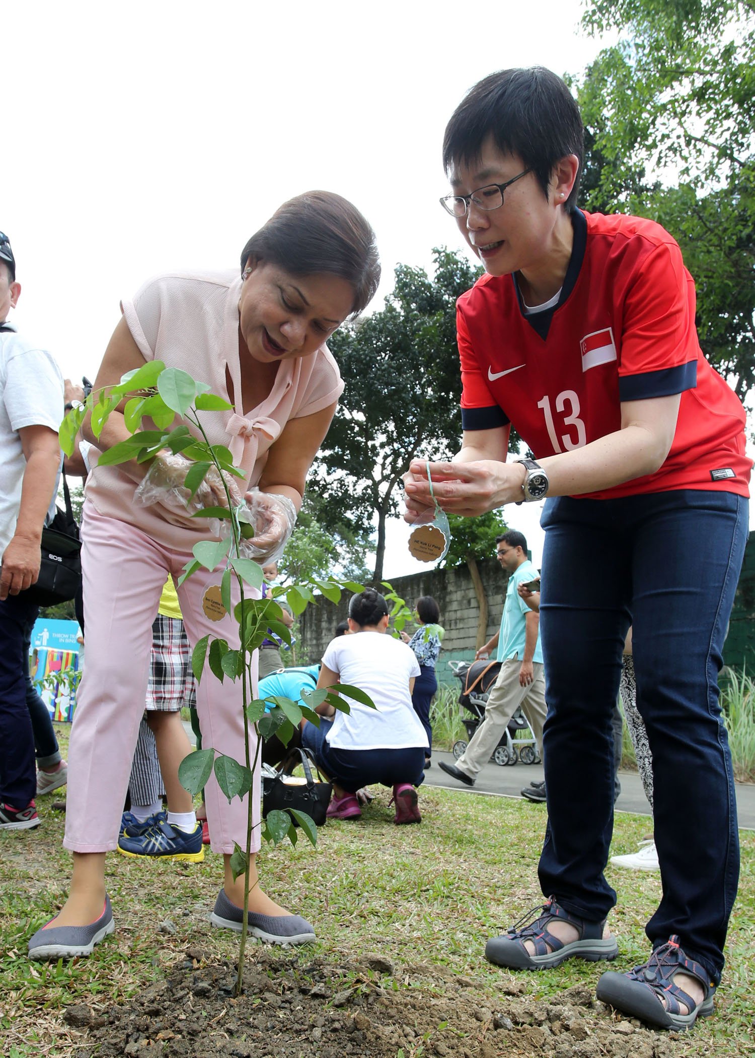 Caring for "Mother Home" by planting trees