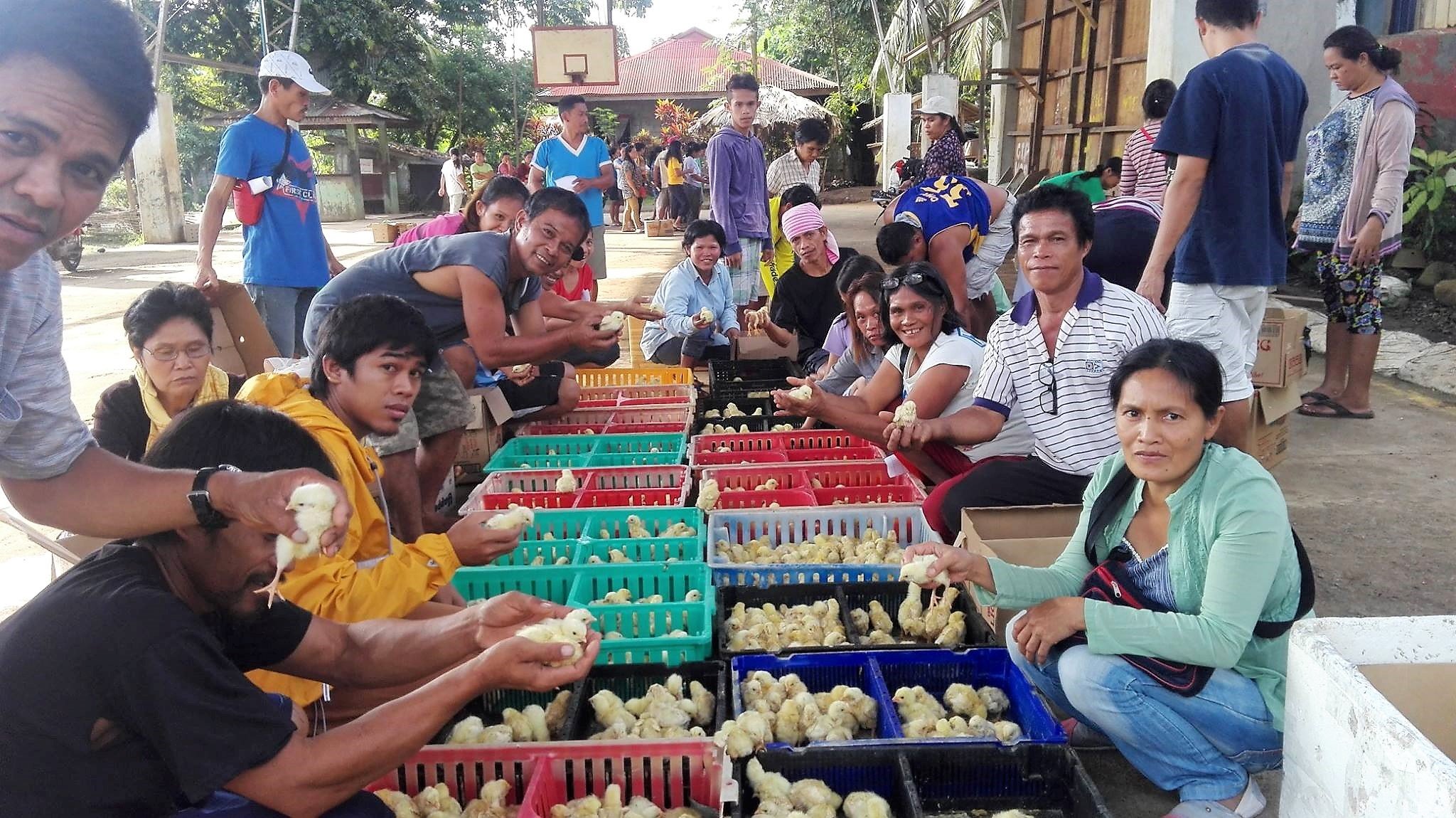 DSWD trains Pantawid beneficiaries in chicken production