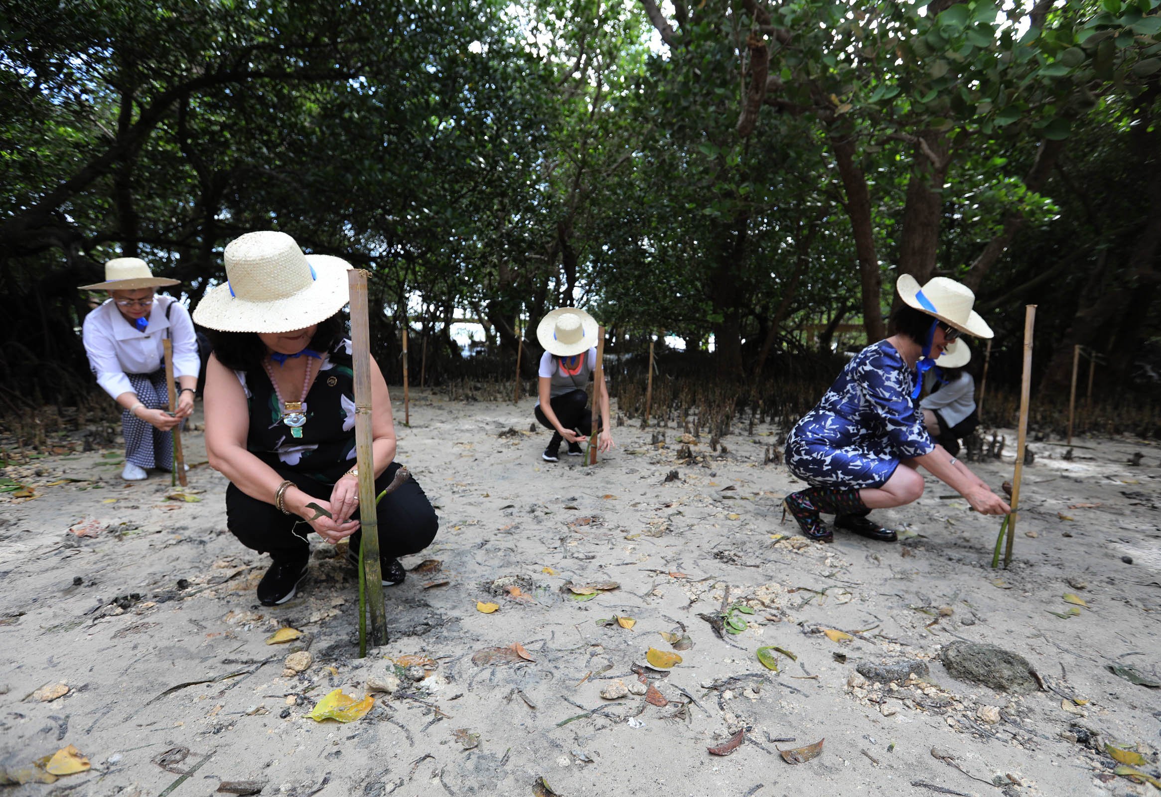 ASEAN Ministers Spouses lead the Mangrove Planting