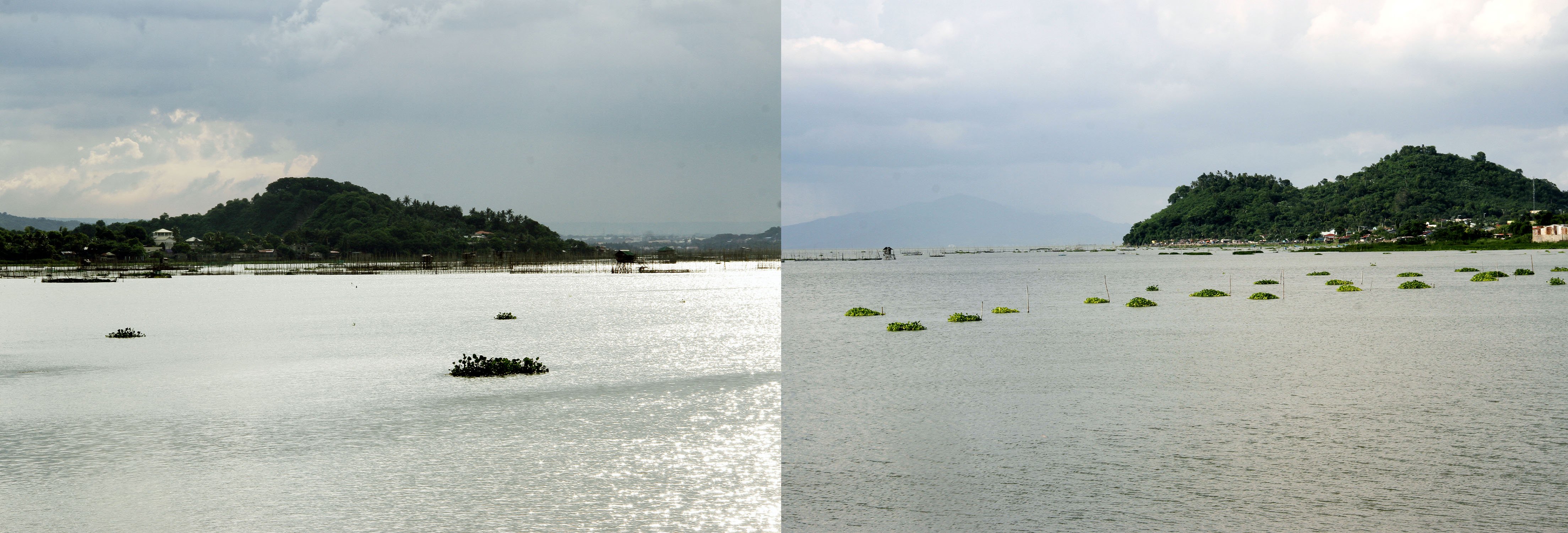 Rehabilitation of scenic Laguna de Bay