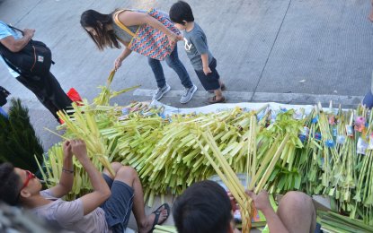 <p><strong>PALMS ALL AROUND.</strong> A woman chooses among the palm branches being peddled outside the Immaculate Conception Church in Dasmariñas, Cavite in observance of Palm Sunday (March 25, 2018). <em>(PNA photo by Avito C. Dalan)</em></p>
