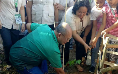 <p>Gov. Wilter Yap Palma leads the tree planting activity during the launching of the Zamboanga Sibugay Lunhaw Nga Damgo: Tree Growing Project that aims to help address problems on Climate Change. <em><strong>(Photo courtesy: DepEd-Zamboanga Sibugay)</strong></em></p>