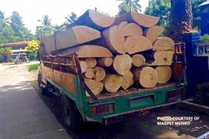 ‘Hot’ logs seized in North Cotabato