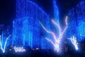 Makati's Festival of Lights dances on 'til Jan. 7, 2018