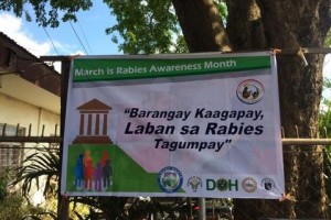 Ilocos Norte offers free anti-rabies shots, neuter
