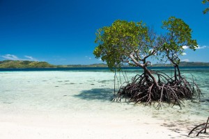 Tourism group in Coron denies coliform has reached island sites