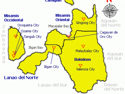 DA monitors migratory birds, poultry farms in northern Mindanao ...