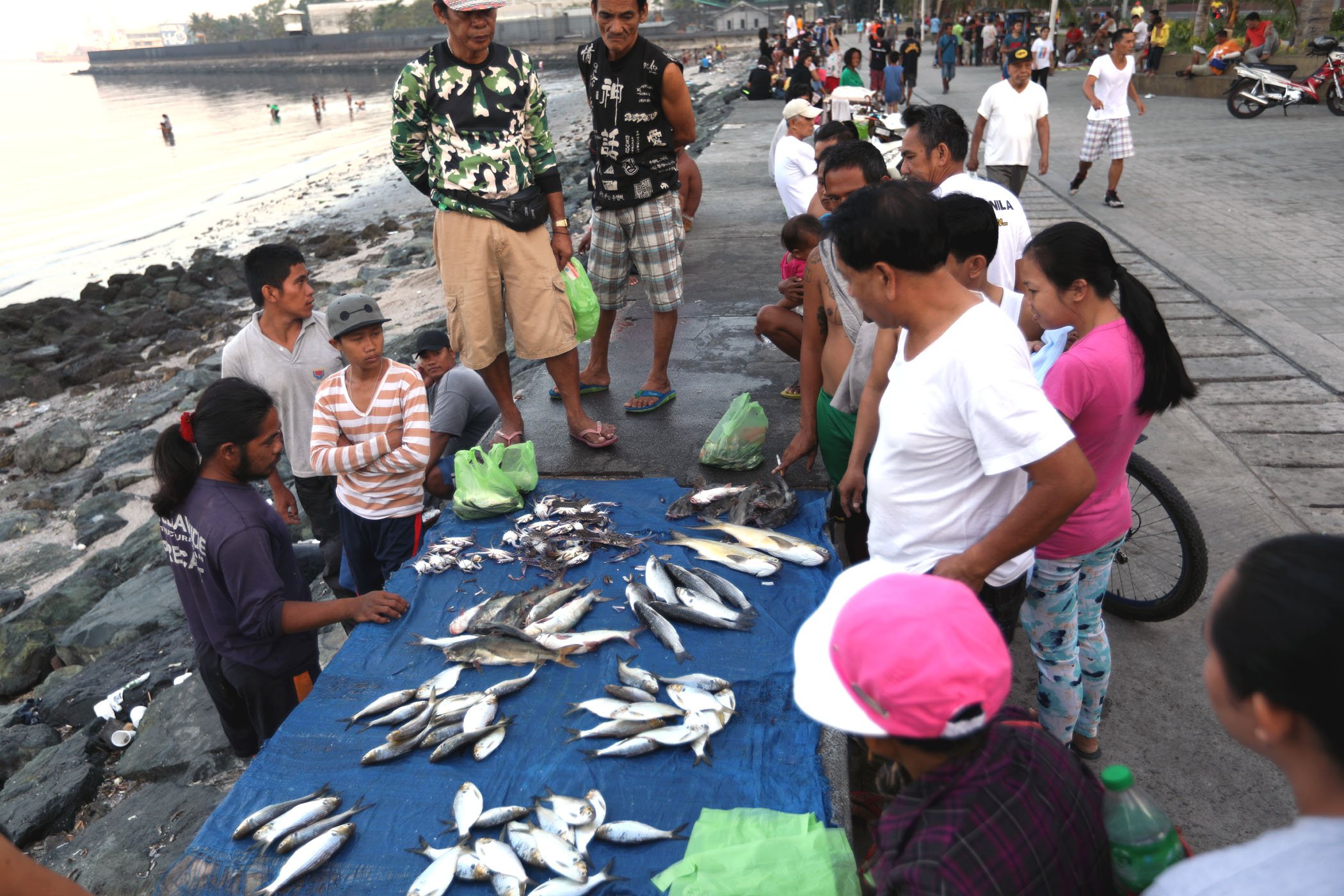 What kind of fish are caught in Manila Bay?